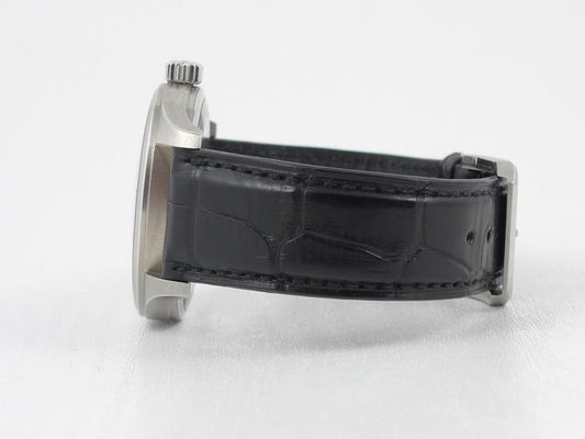 IWCPilots fra 4 mdr. 2010