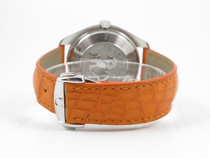 Omega Planet Ocean 45.5 - 2011
