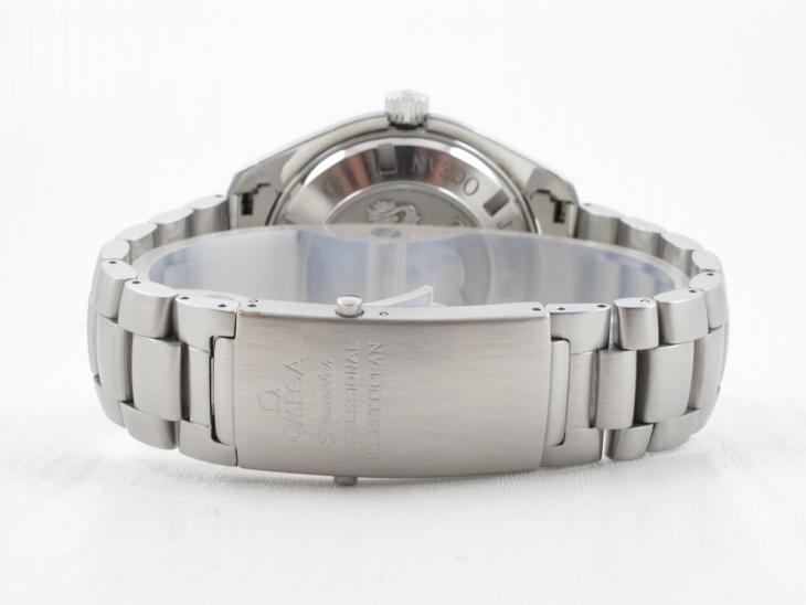 Omega Planet Ocean 45.5 mm