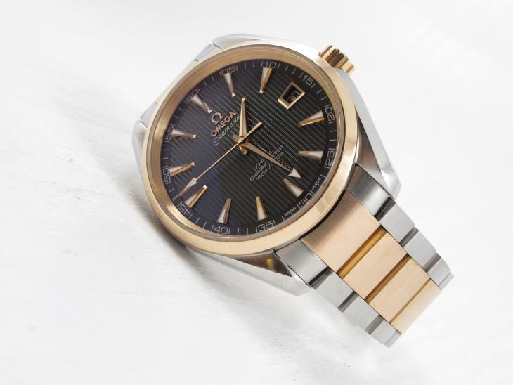 Omega Aqua Terra G/S