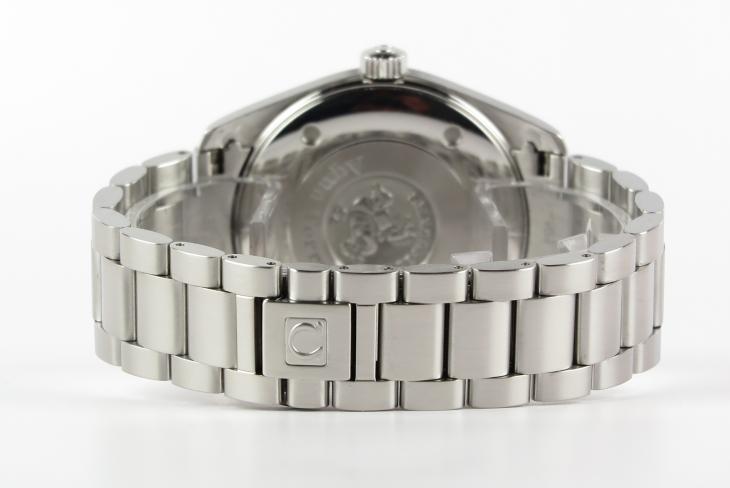 Omega Aqua Terra