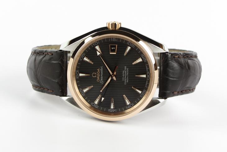 Omega Aqua Terra G/S
