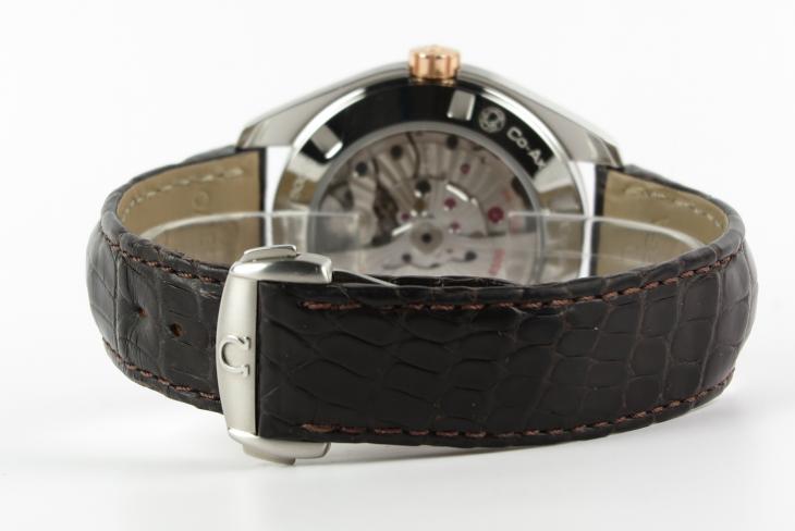 Omega Aqua Terra G/S