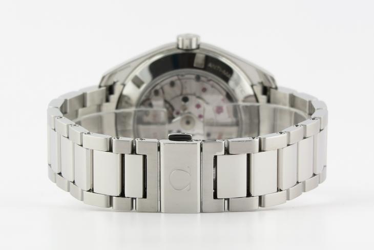 Omega Aqua Terra