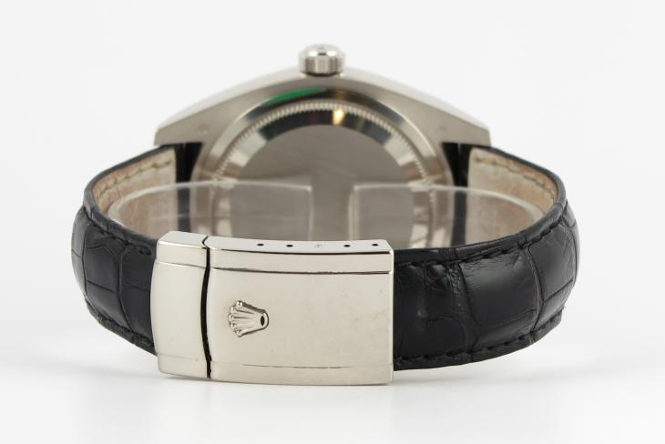 Rolex Sky-Dweller WG