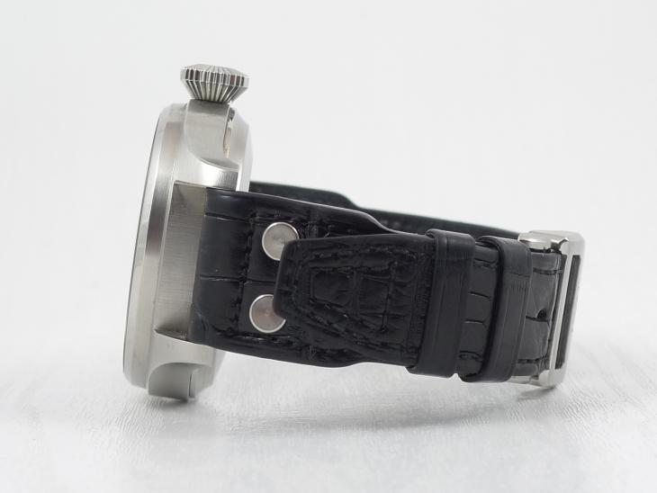 IWCBig Pilot 2009