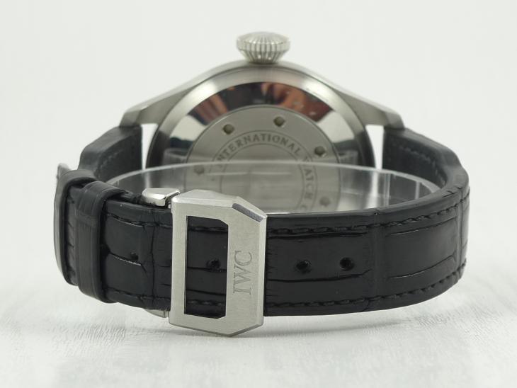 IWCBig Pilot 2009