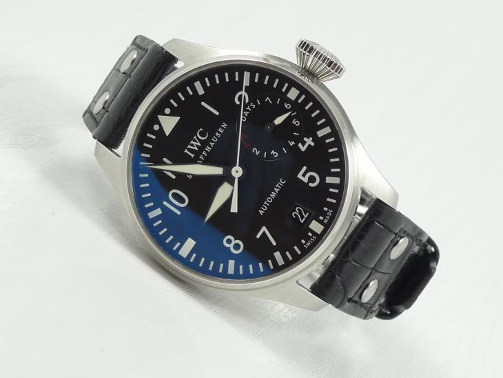 IWCBig Pilot 2009 - DK papir