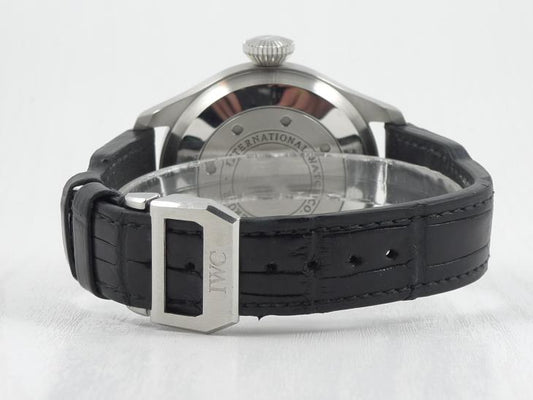 IWCBig Pilot 2009 - DK papir