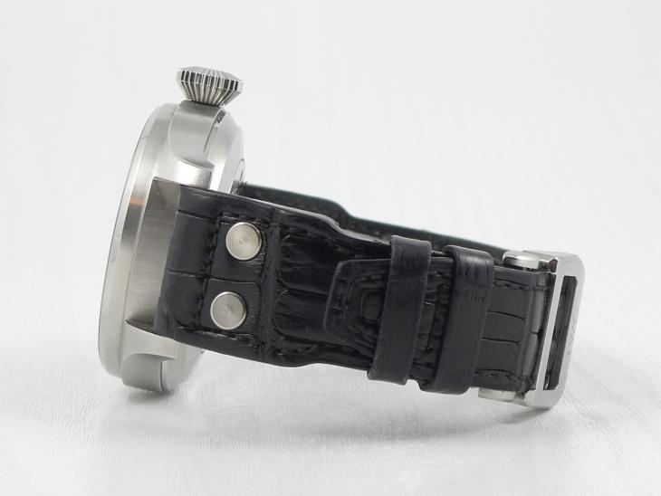 IWCBig Pilot 2009 - DK papir