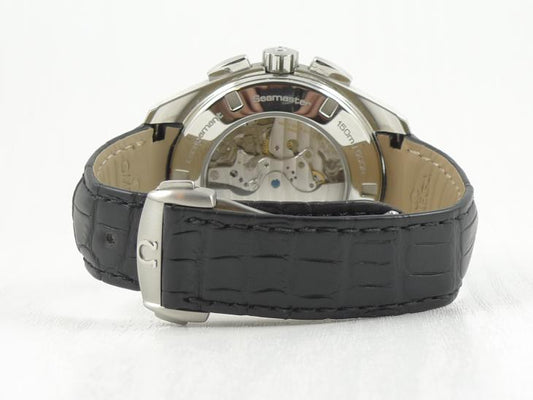 Omega Seamaster Aqua Terra 2011