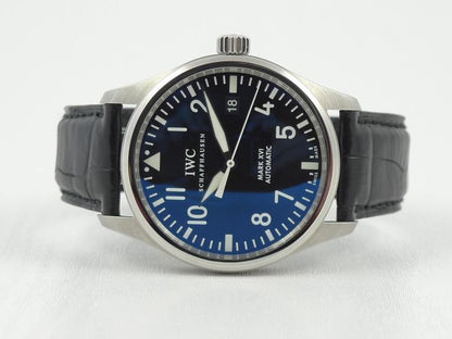IWCPilots fra 4 mdr. 2010