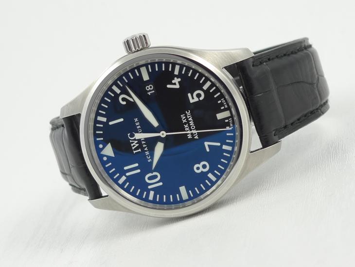 IWCPilots fra 4 mdr. 2010