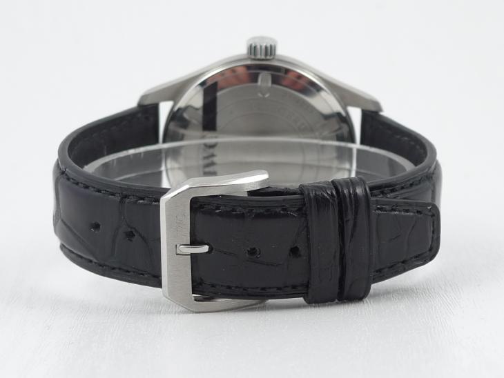 IWCPilots fra 4 mdr. 2010