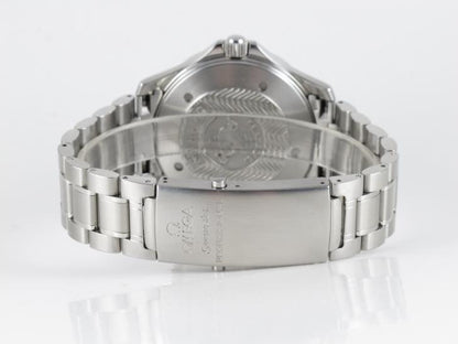 Omega Seamaster GMT 2009