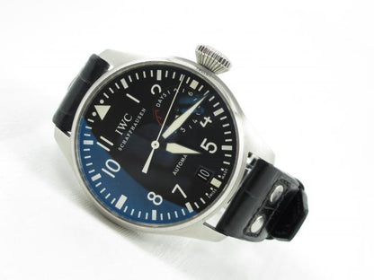 IWCBig Pilot - 2010