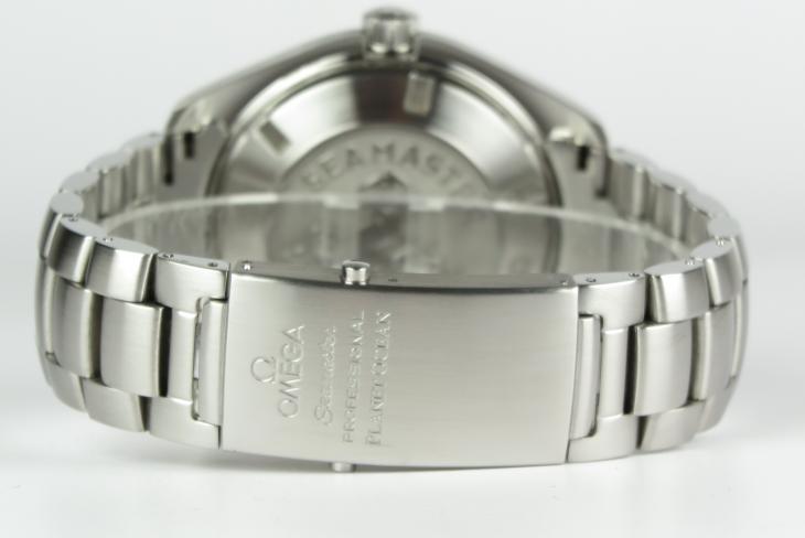 Omega Planet Ocean 45.5 mm