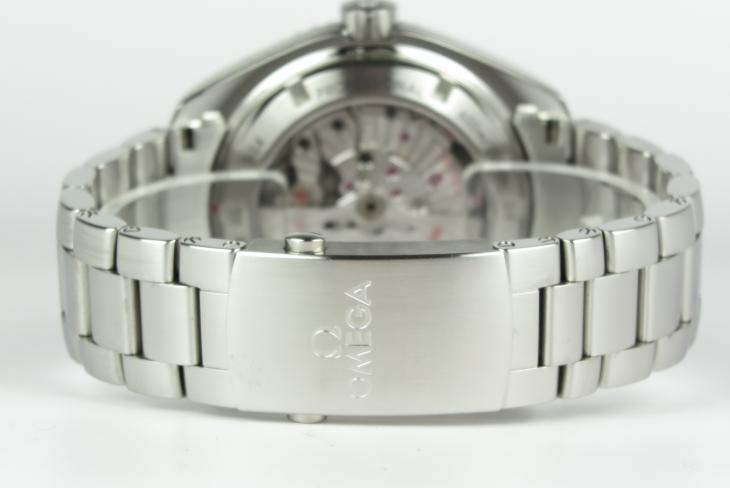 Omega Planet Ocean 45.5 mm