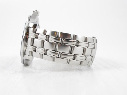 Omega Seamaster Professional