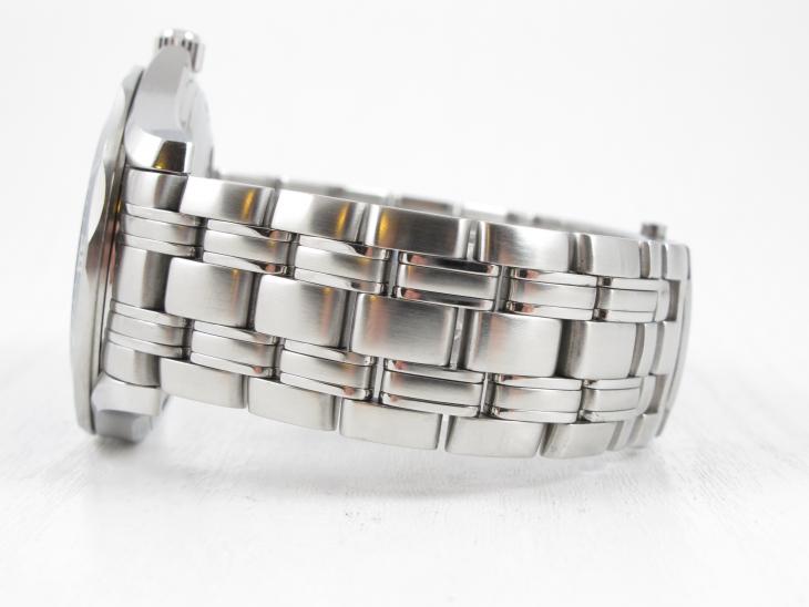 Omega Seamaster Professional