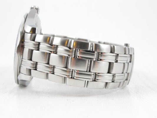 Omega Seamaster Professional