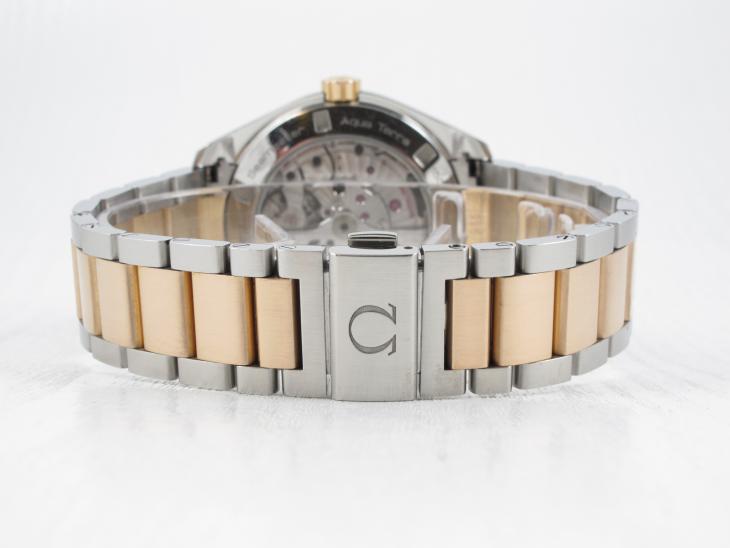 Omega Aqua Terra G/S