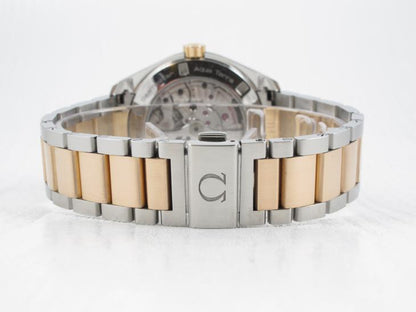 Omega Aqua Terra G/S