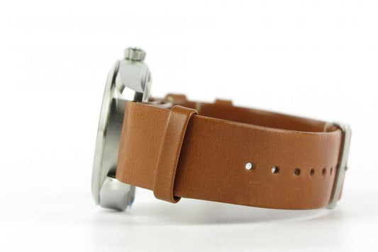 Omega Railmaster