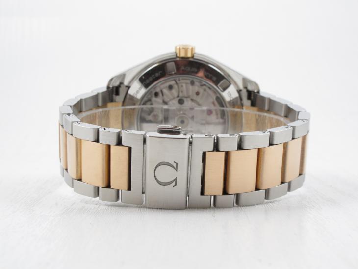 Omega Aqua Terra G/S