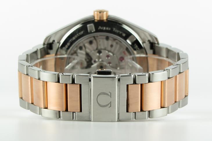 Omega Aqua Terra G/S