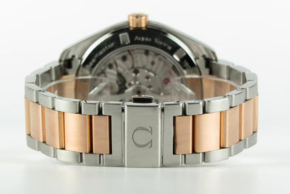 Omega Aqua Terra G/S