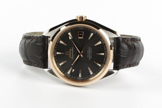 Omega Aqua Terra G/S