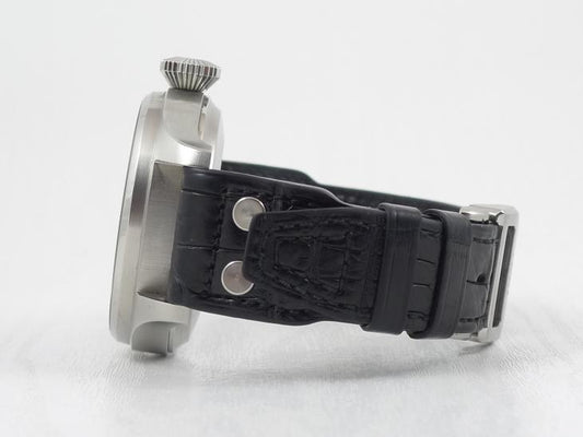 IWCBig Pilot 2009