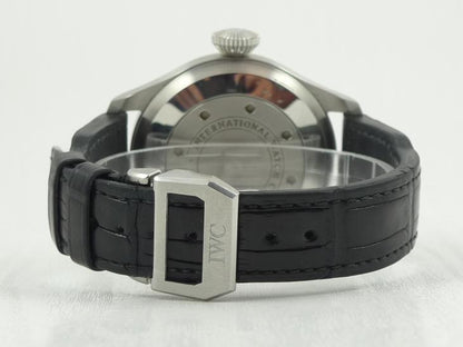 IWCBig Pilot 2009