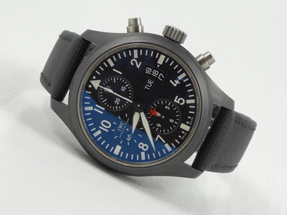 IWCTop Gun 2011
