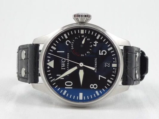IWCBig Pilot 2009 - DK papir