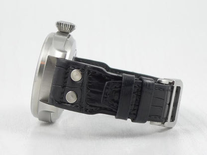 IWCBig Pilot 2009 - DK papir